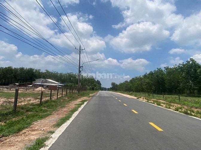 bán đất dầu tiếng 3000m giá bán 2 ty mật tiền nhựa 12 