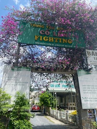 Bán biệt thự đối diện sân vận động dĩ An Bình Dương trung tâm anh ngữ