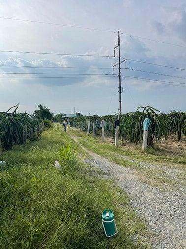 Bán đất Thanh Long cách Phan Thiết 16km, ngay trạm thu phí Sông Phan, 