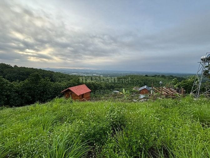 Đất Đẹp La Ngà – Sổ Riêng, View Chill, Đường Ô Tô – Chính Chủ Sang Như