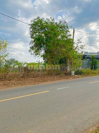 BÁN ĐẤT NÔNG NGHIỆP( CLN ) MẶT TIẾN ĐƯỚNG 15M. BÀ RỊA VŨNG  TÀU