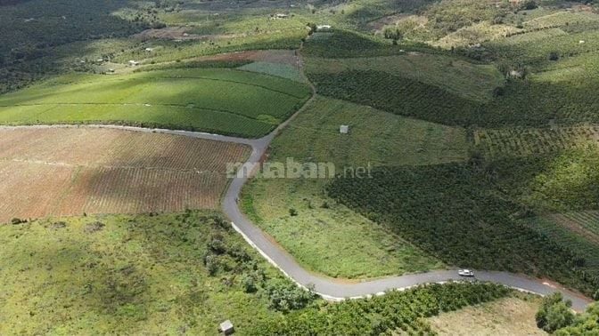 💥💥 HOT – BÁN GẤP 1,2HA ĐẤT ĐẸP TẠI LỘC QUẢNG – GIÁ CỰC TỐT 💥💥 
