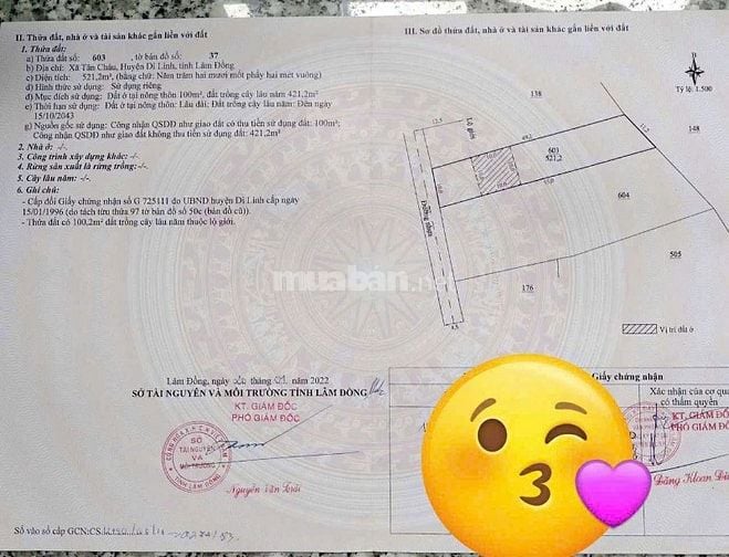 10x50 Đất Tân Châu-Di Linh 100m thổ đường nhựa KDC 1 tỷ