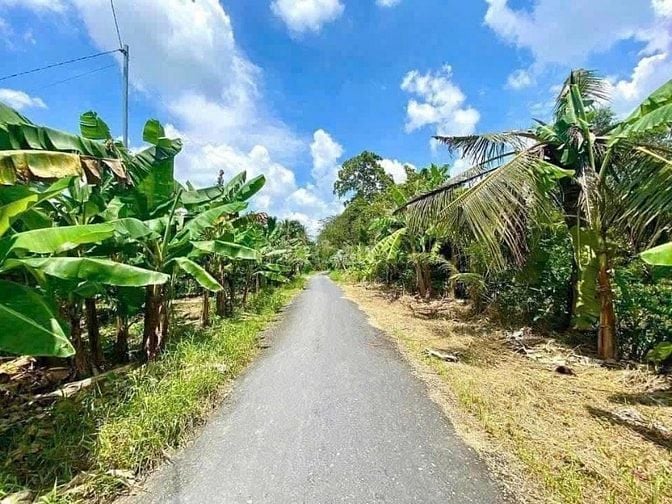 Nền 150m2 Thuộc Rạch Xẻo Đế Thuộc Trường Lạc Ô Môn - Gần  Chợ 