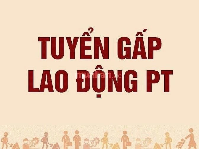 Công ty mở rộng chi nhánh cần tuyển gấp 5 nhân viên kho ở Q Gò vấp.