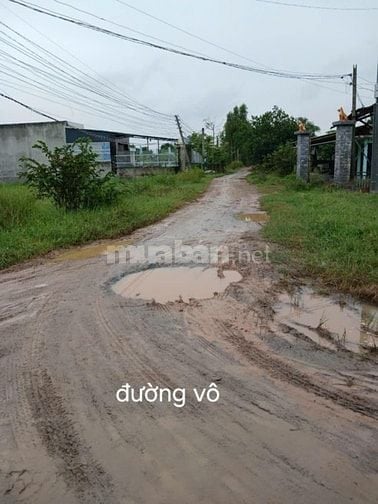BÁN ĐẤT CHÍNH CHỦ THỔ CƯ 100% HÒA KHÁNH NAM, ĐỨC HÒA DIỆN TÍCH 105M2 