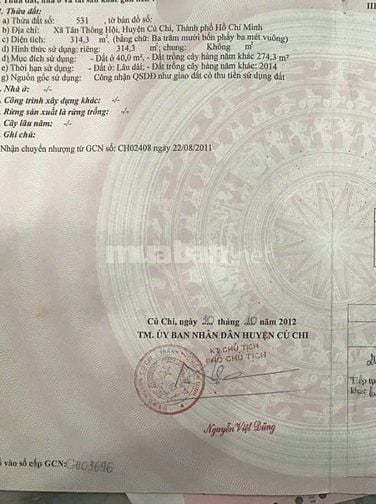 Cần gửi bán 314m2 có thổ cư, Tân Thông Hội , Giá 870tr – Cách QL22 200