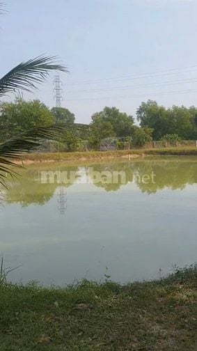 cho thuê lâu dài đất có sẳn ao tiện chăn nuôi kinh doanh dv 10.000m2