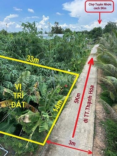 Bán đất thổ 462m2, sát QL.62,SHR, đường ô tô, Thạnh Hóa, Long An