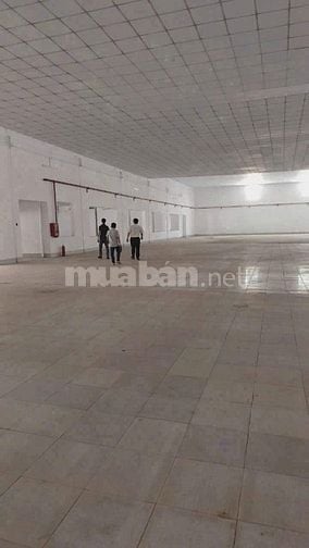 Cho thuê kho xưởng Quốc Lộ 1A, Bình Chánh,diện tích:1.800m2,giá:80k/m2