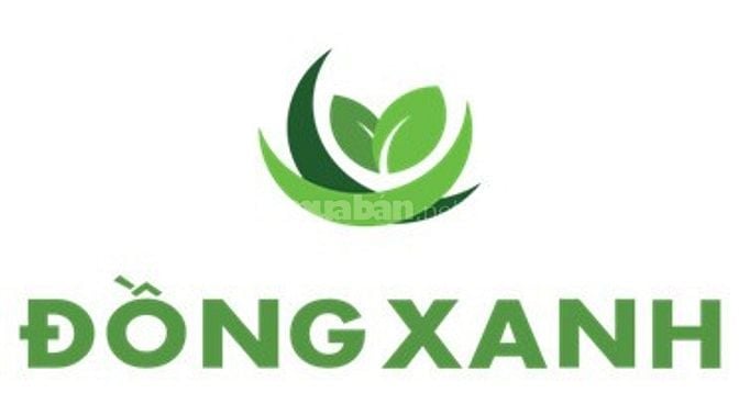 TUYỂN GẤP NỮ SOẠN HÀNG (RAU, CỦ, QUẢ …)