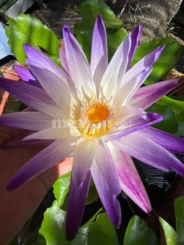TUYỂN NHÂN VIÊN BÁN HÀNG , TẠI QUẦY 