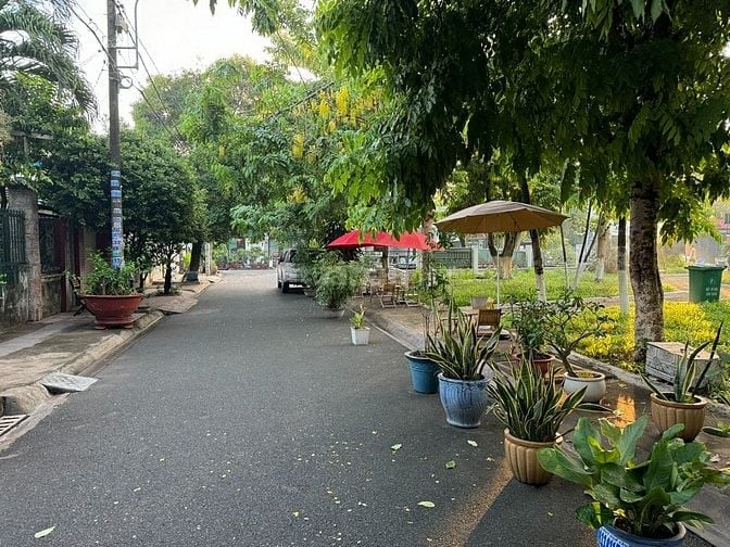Bán milihome mặt tiền đường Bạch Dương, Phường Hiệp Thành, Quận 12