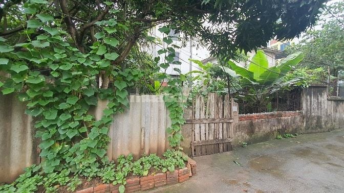 🌟 CƠ HỘI VÀNG – SỞ HỮU LÔ ĐẤT 100M² TẠI LONG 