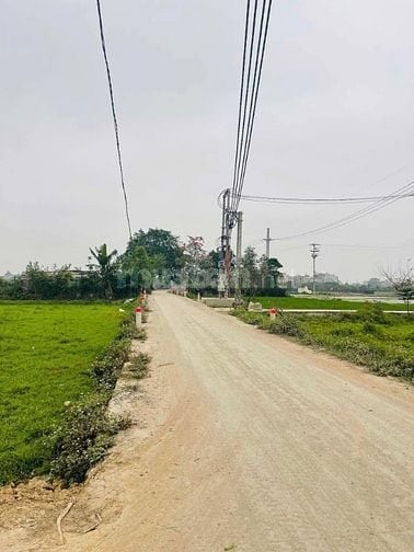 Bán đất Thường Tín, đường ô tô MT15m, DT nhỉnh 690m2, 8 triệu/m2