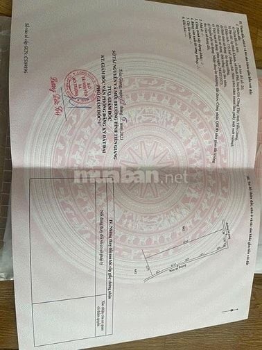 chính chù mình cần bán mảnh đất vườn ấp Bình Khánh, xã  Bình Phú, GCT