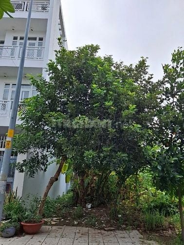 Bán đất đường 100 Khu 1 Thạnh Mỹ Lợi Quận 2 giá 11,6 tỷ