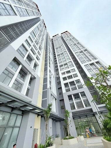 Cho thuê các căn hộ thuộc DA Citi Alto mới 100% đang hoàn thiện NT