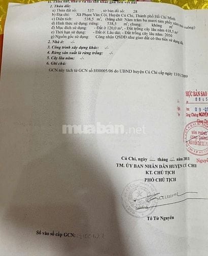 Chính chủ bán đất có nhà cấp 4, 131 Bùi Thị Điệt, Phạm Văn Cội, Củ Chi