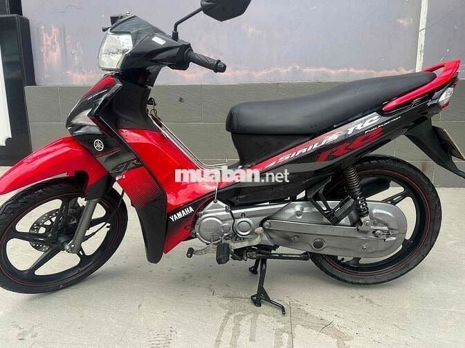 sirut xin cực chắt