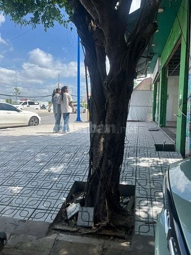 CHO THUÊ MẶT BẰNG 2 MẶT TIỀN ĐƯỜNG ĐỖ XUÂN HỢP, TP THỦ ĐỨC
