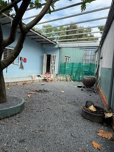 Hàng Mới Ra Lò Hóc Môn Siêu Gần Trường Học, Chợ,... -160m2 Chỉ 2Ty250