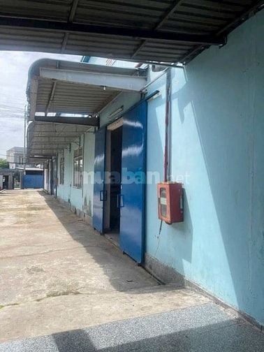 Cho thuê nhà xưởng KCN Đức Hòa Long An, KV : 12.000m2, xưởng : 8.000m2