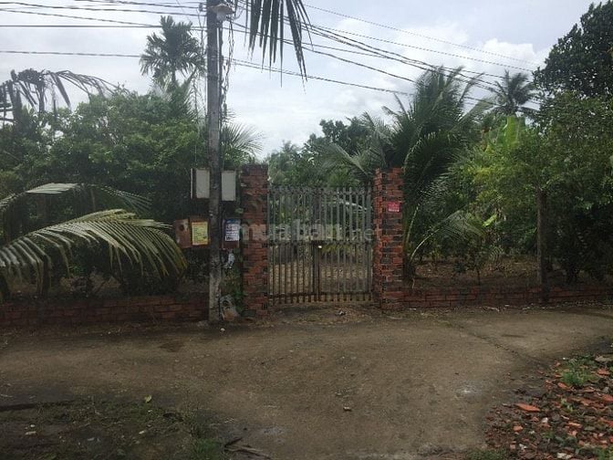 Đất vườn thị trấn Châu Thành Bến Tre