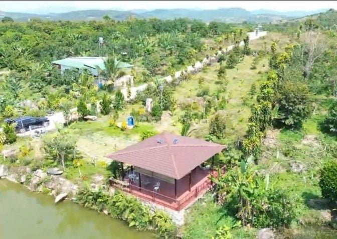 🏡 BÁN ĐẤT ĐẸP – CÓ THỔ CƯ – SỔ RIÊNG – DÂN CƯ HIỆN HỮU