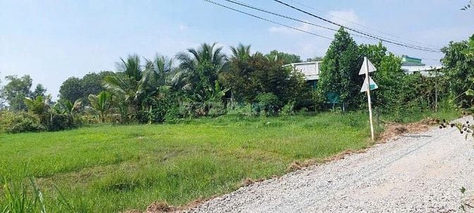 NGỘP cần bán gấp 1223m2 chỉ 1ty6 ( 1tr3/m2) MT Nguyễn Thị Thạo Củ Chi 
