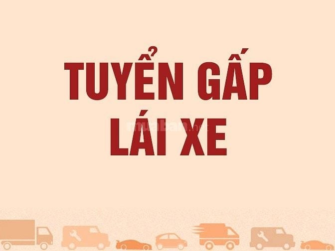 Tuyển Lái xe văn phòng, lái cho sếp, lương cao hấp dẫn