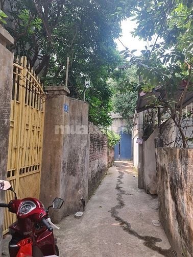 ngõ 293 Ngọc Thuỵ, Đất vuông vức, sổ đỏ chính chủ, liên hệ chính chủ