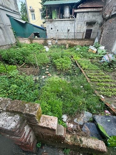 BÁN ĐẤT TÂY MỖ 50M NGÕ NÔNG Ô TÔ ĐỖ CỬA LÔ CUỐI 120TR/M2