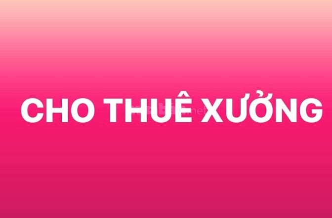CHO THUÊ XƯỞNG MỚI ĐƯỜNG BẦU GỐC, BÌNH CHÁNH