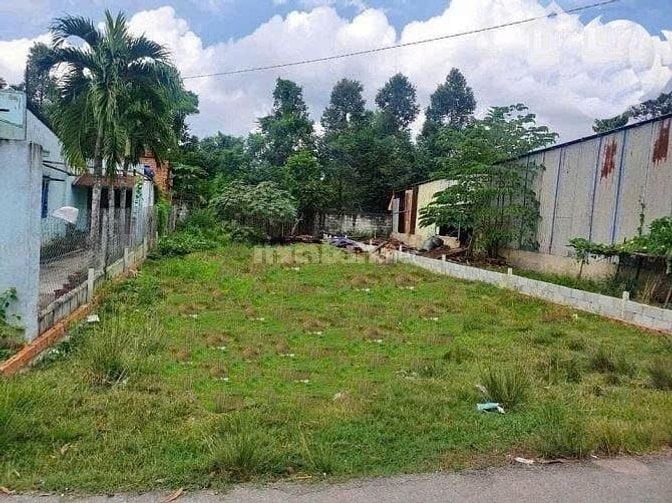 Chủ ngộp ngân hàng bán gấp lô 282m2, Tân An Hội, Củ CHi, SHR, 2,32 tỷ.