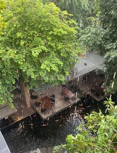VIỆC LÀM TỰ DO THỜI GIAN CHO SINH VIÊN/ TÂN BÌNH