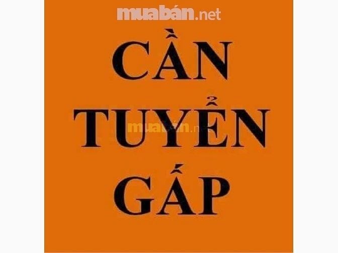 Cần gấp nhân viên phụ kho tại khu vực TPHCM 