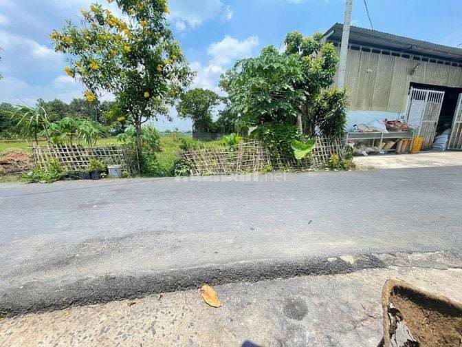 CẦN BÁN GẤP ĐẤT THỔ CƯ 337m2 ĐƯỜNG NGUYỄN THỊ CẨM , XÃ TÂN PHÚ TRUNG