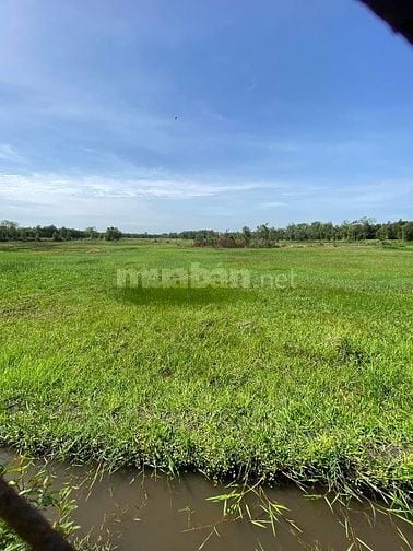 CÔNG TY CẦN TUYỂN 3 LAU  CÔNG 