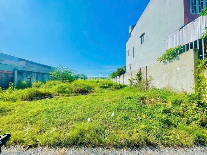 500m2 đất Tân Phú Trung, Củ Chi  cần tiền bán gấp giá đầu tư chỉ 850tr