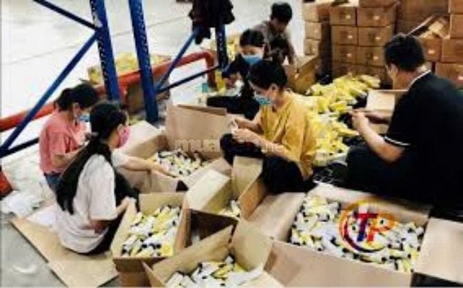 KHO MỚI CẦN BỔ SUNG NHÂN VIÊN PHỤ KHO 