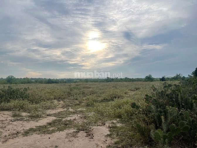 Bán 6640m2 giá 3,2 tỷ, sổ đỏ, gần khu du lịch Mũi Dinh, Ninh Thuận