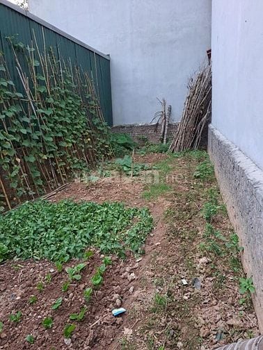 Bán đất thổ cư tại Do Nha, Tây Mỗ, Xuân Phương, diện tích 84m, mt 4,8m