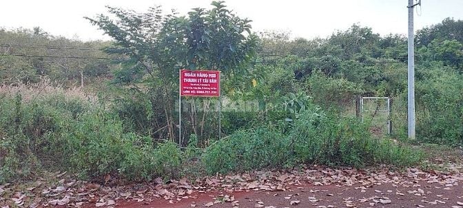 CÔNG TY ĐẤU GIÁ HỢP DANH MINH PHÁP THÔNG BÁO ĐẤU GIÁ TÀI SẢN