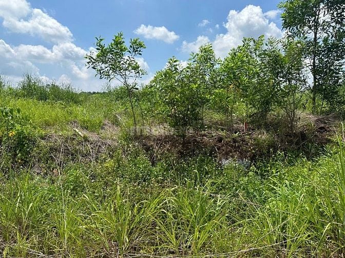 CÔNG TY ĐẤU GIÁ HỢP DANH MINH PHÁP THÔNG BÁO ĐẤU GIÁ TÀI SẢN