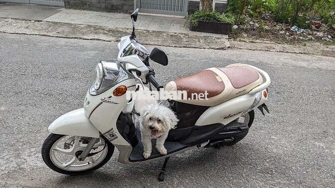 Mio classico 2012