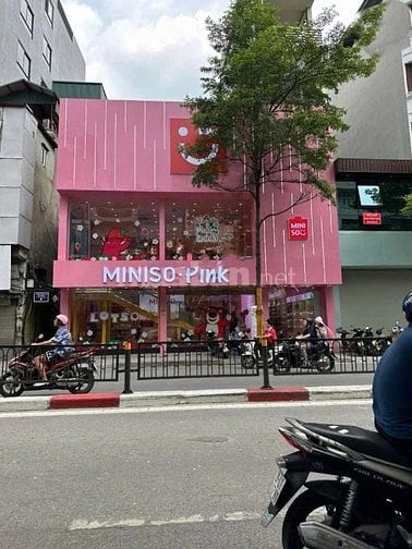 Cho thuê nhà khu phố Nhật Đào Tấn siêu hot, DT 50m MT 5m ở vị trí đẹp