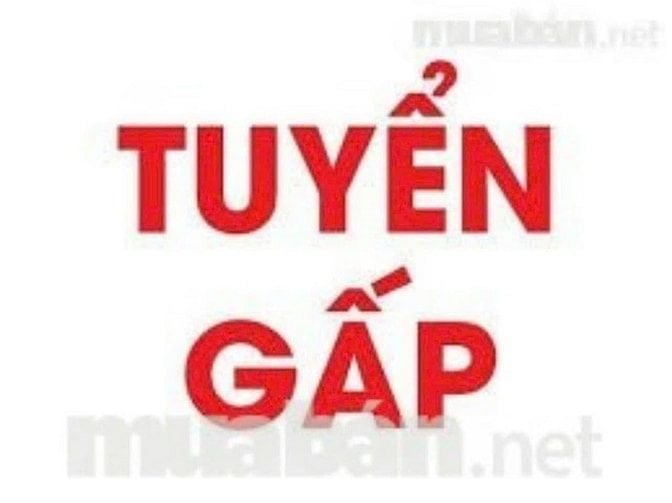 CỬA HÀNG QUẬN 12 CẦN TUYỂN GẤP NHÂN VIÊN BÁN HÀNG, KẾ TOÁN THU NGÂN 