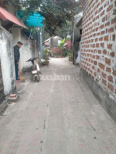 Mảnh đất 320m2 vuông vắn siêu đẹp tại Đoài Giáp, Đường Lâm, Hà Nội