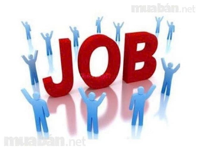 Cty cần tuyển 2 nhân viên thu ngân làm việc tại chi nhánh mới Q12.